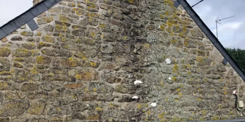 Mars 2026 : nettoyage pignon (photo avant)